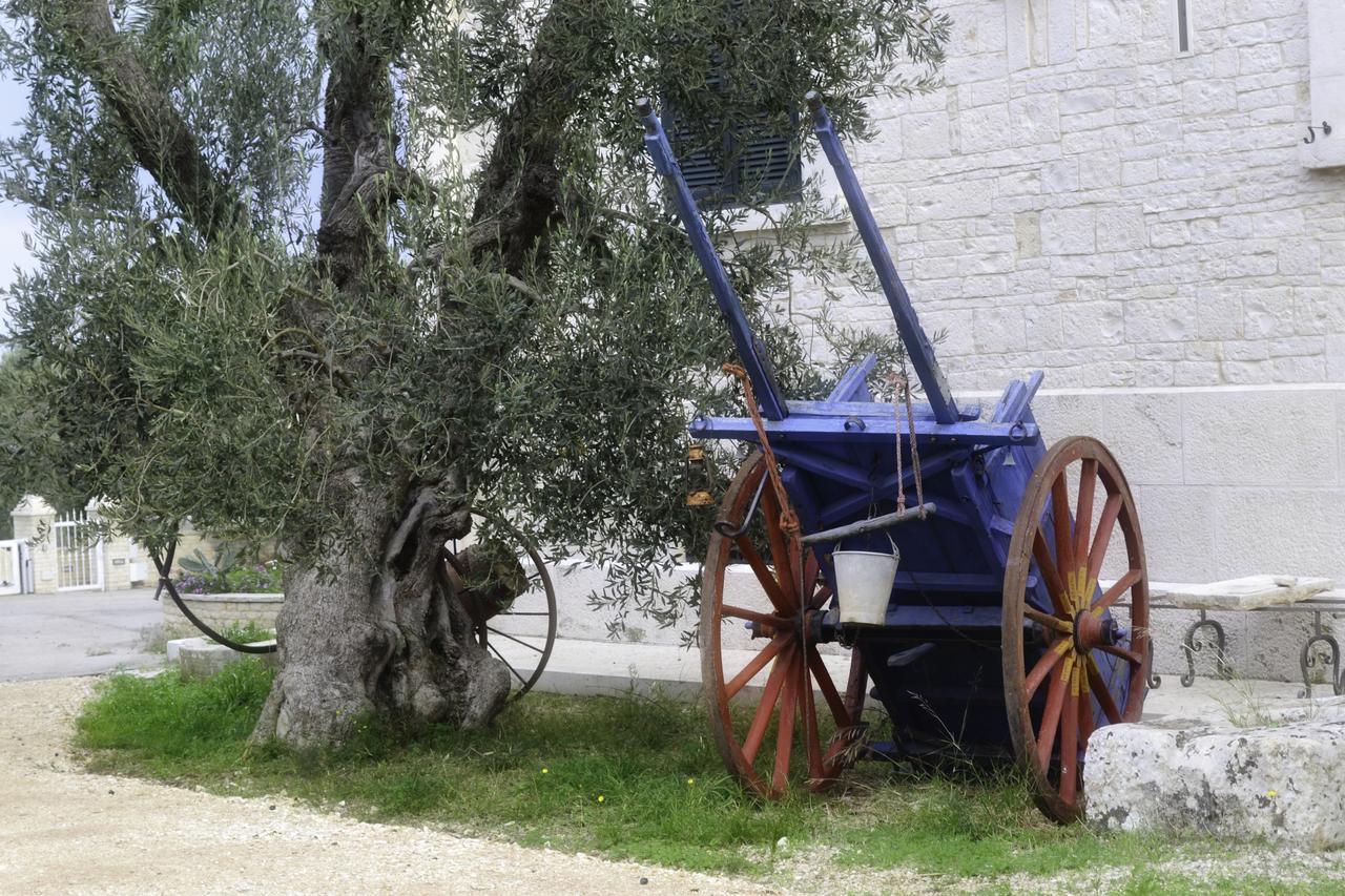 טרני Tenuta Lama Gorga מראה חיצוני תמונה
